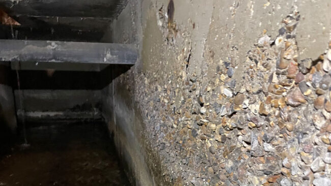 South Reading Leisure Centre | Olton Structural Consulting, Bury St. Edmunds, Suffolk